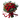 Esteemable / Roses