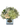 Virtuoso / flores