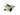 botonero