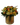 Fresco / flores