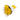 Yellow roses
