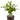 Flores del día de San Patricio