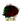 Roses / Roses