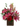 Fascinating / flowers