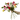Understanding / Roses