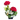 Arreglo de rosas con colores contrastantes, diseñado por Doral Roses Miami, en un estilo exclusivo y elegante.