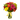 Días Brillantes - Florist in Doral, FL | Same-Day Flower Delivery in Miami – Doral Roses Miami