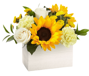 Dulces Girasoles Florería en Doral - Rosas Rojas Doral Florida Entrega de Flores Hoy Miami