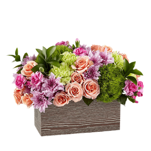 Rosas Encantadoras Florería en Doral - Rosas Rojas Doral Florida Entrega de Flores Hoy Miami - Florist in Doral, FL | Same-Day Flower Delivery in Miami – Doral Roses Miami