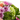 Rosas Encantadoras Florería en Doral - Rosas Rojas Doral Florida Entrega de Flores Hoy Miami - Florist in Doral, FL | Same-Day Flower Delivery in Miami – Doral Roses Miami