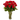 Rosas rojas en jarrón por Florista Doral Roses Miami, arreglo floral con 12 rosas en un florero elegante en Miami.