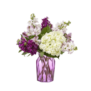 Alhelíes Violetas y Blancos — Arreglo Fresco, Entrega Hoy Doral/Miami - Florist in Doral, FL | Same-Day Flower Delivery in Miami – Doral Roses Miami