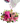 Fiel / flores
