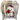 Exclusivo Preservadas Perrito🧸