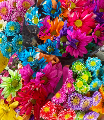 Ramo de flores mixtas Doral Roses Miami, Bouquet Sorpresa Miami con flores coloridas y variadas para ocasiones especiales